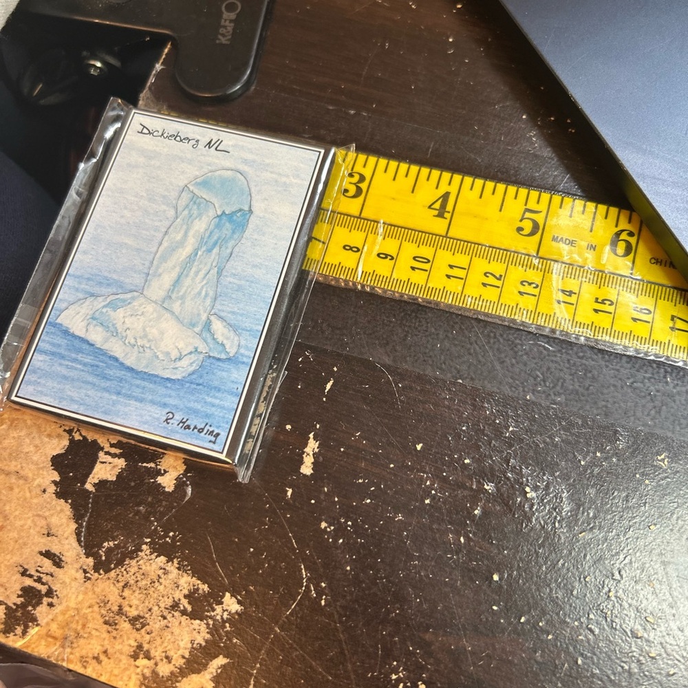 Dickieberg Newfoundland Iceberg Print by R. Harding Magnet 3.5”x2.5” New - Picture 4 of 5